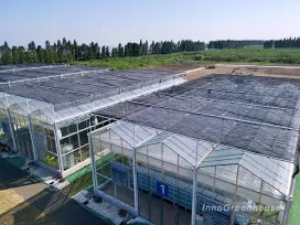 A versatile, fully equipped innovative small glass greenhouse