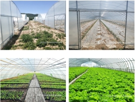 Polytunnel Plastic Hoop House