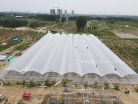 Simple Multi-span Plastic Film Greenhouse - Multiple Benefits