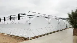 Multi-Span Film Greenhouse - Shade-Loving Plants (Mushrooms & Fungi)