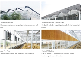 Innovative Smart Glass Greenhouse