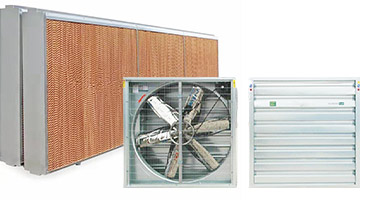 Pad - Fan Ventilation & Cooling System